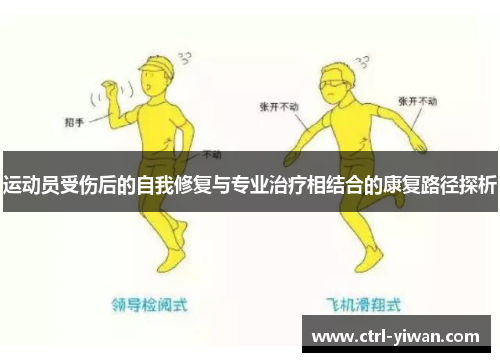 运动员受伤后的自我修复与专业治疗相结合的康复路径探析