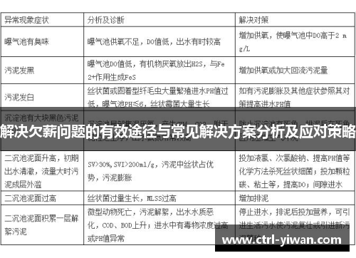 解决欠薪问题的有效途径与常见解决方案分析及应对策略